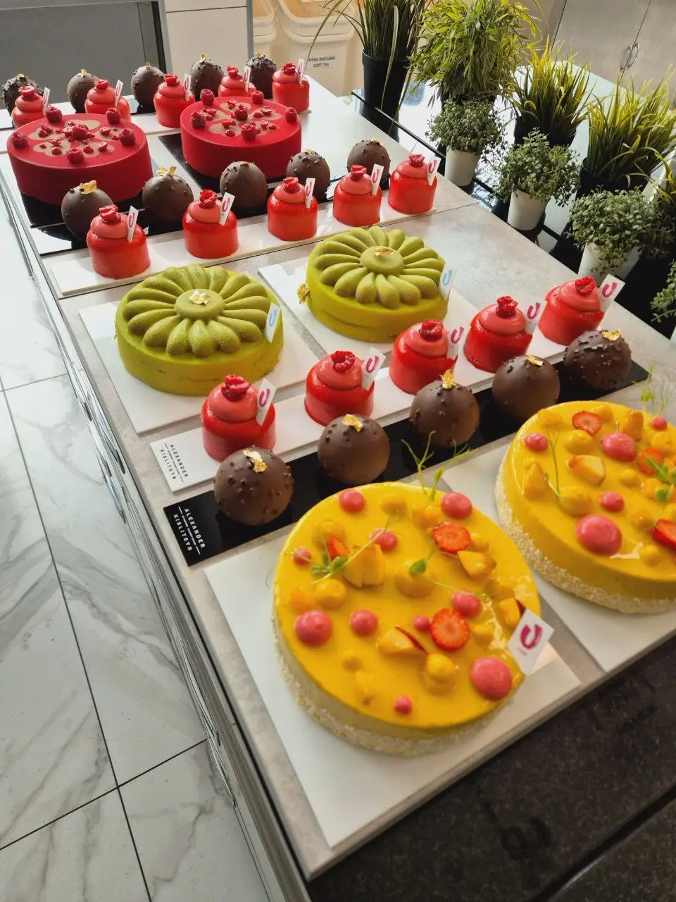 НИЗКОКАЛОРИЙНЫЕ ТОРТЫ И ПИРОЖНЫЕ БЕЗ ГЛЮТЕНА И ЛАКТОЗЫ