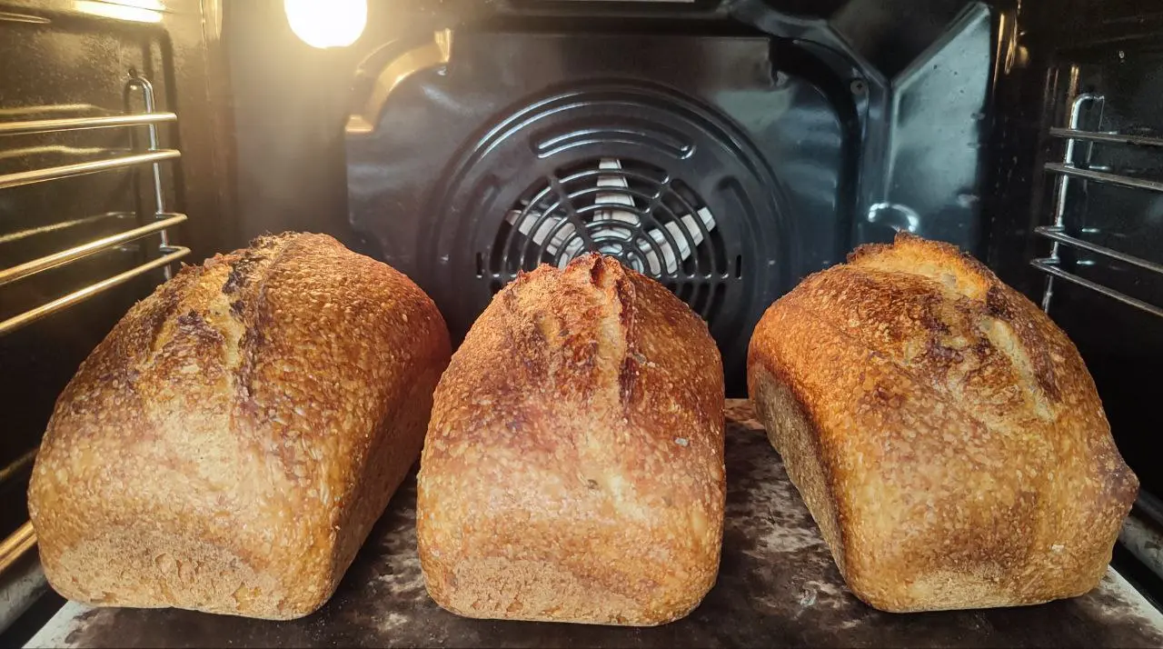Мастер-класс по выпеканию хлеба на закваске