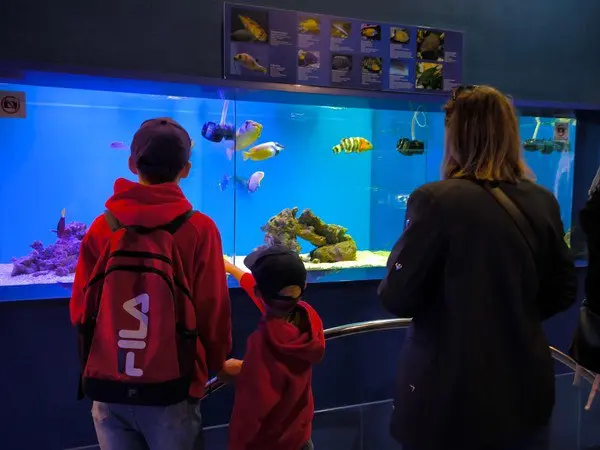 ОКЕАНиЯ: школа под парусами