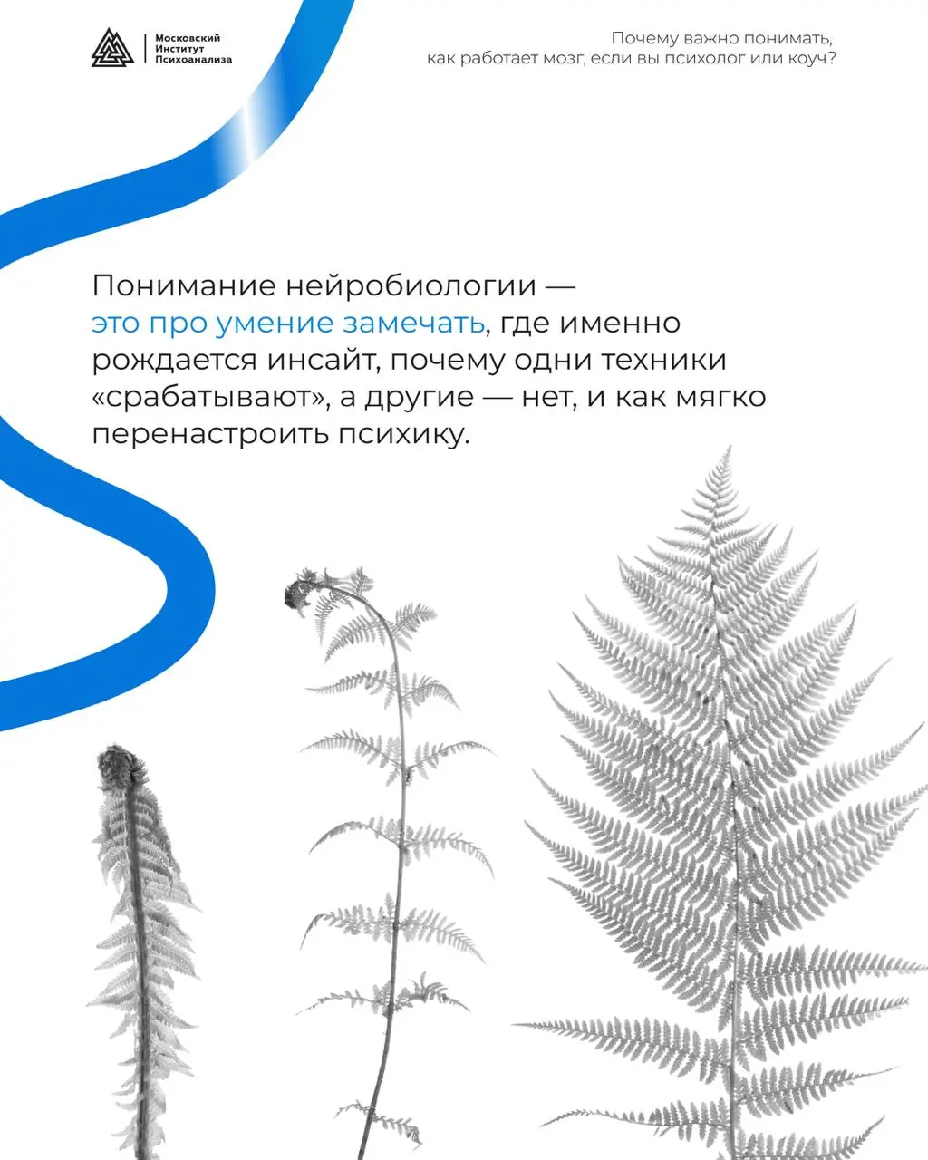 Психология, психотерапия и коучинг: как работает мозг, когда мы меняемся ❤️