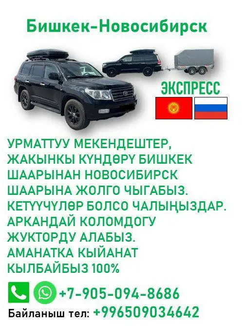 Бишкек-Новосибирск