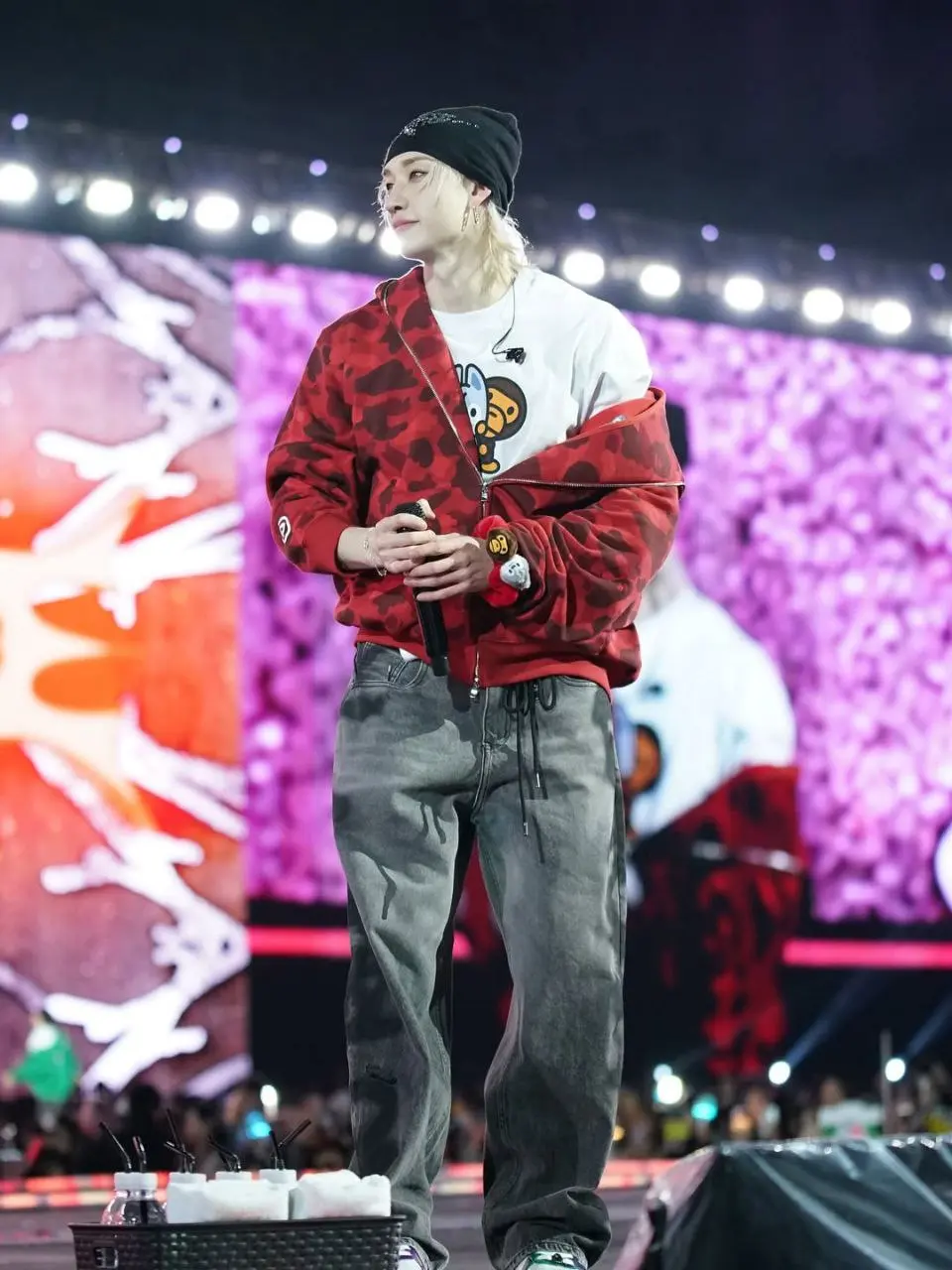 Stray Kids World Tour STRAY KIDS x A BATHING APE®️