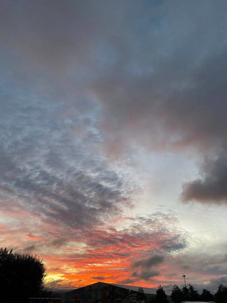 ДОМ ПРОБУЖДЕНИЯ