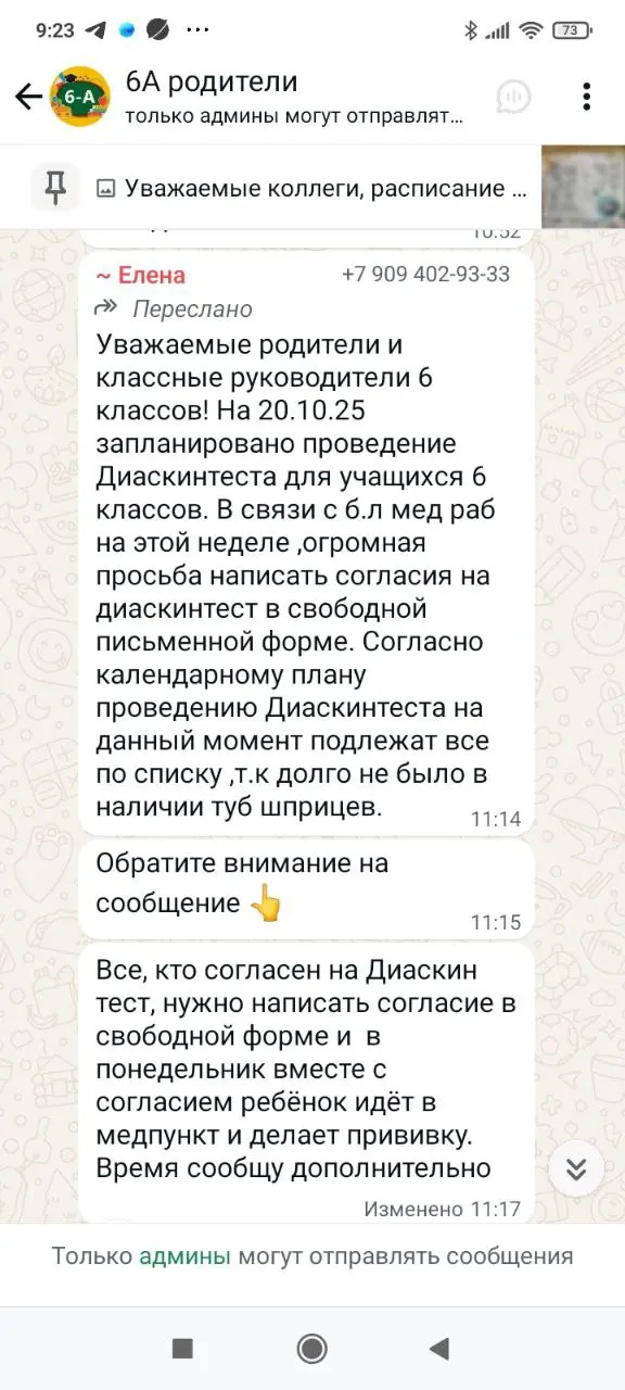 Диаскинтест для учащихся 6 классов