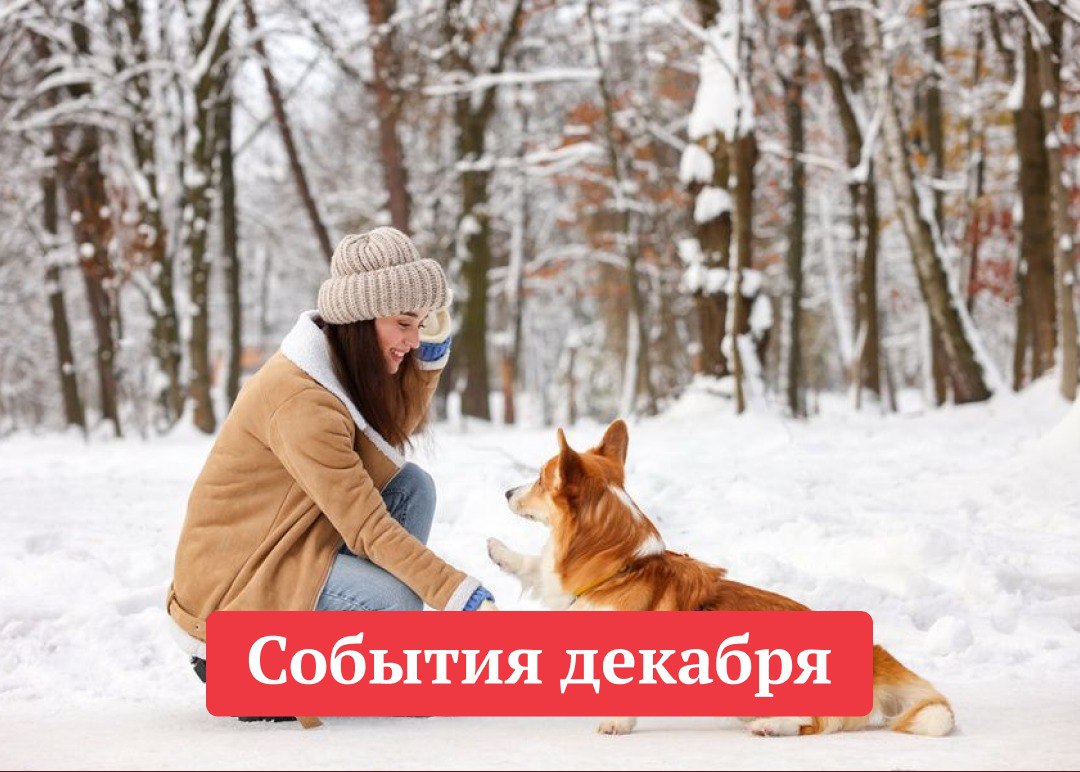 Лучшие события декабря