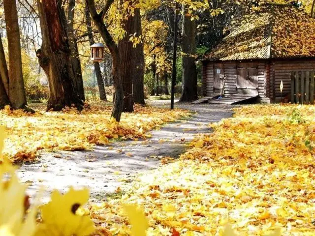 Встреча жителей Балашихи по обсуждению реконструкции Горенского лесопарка