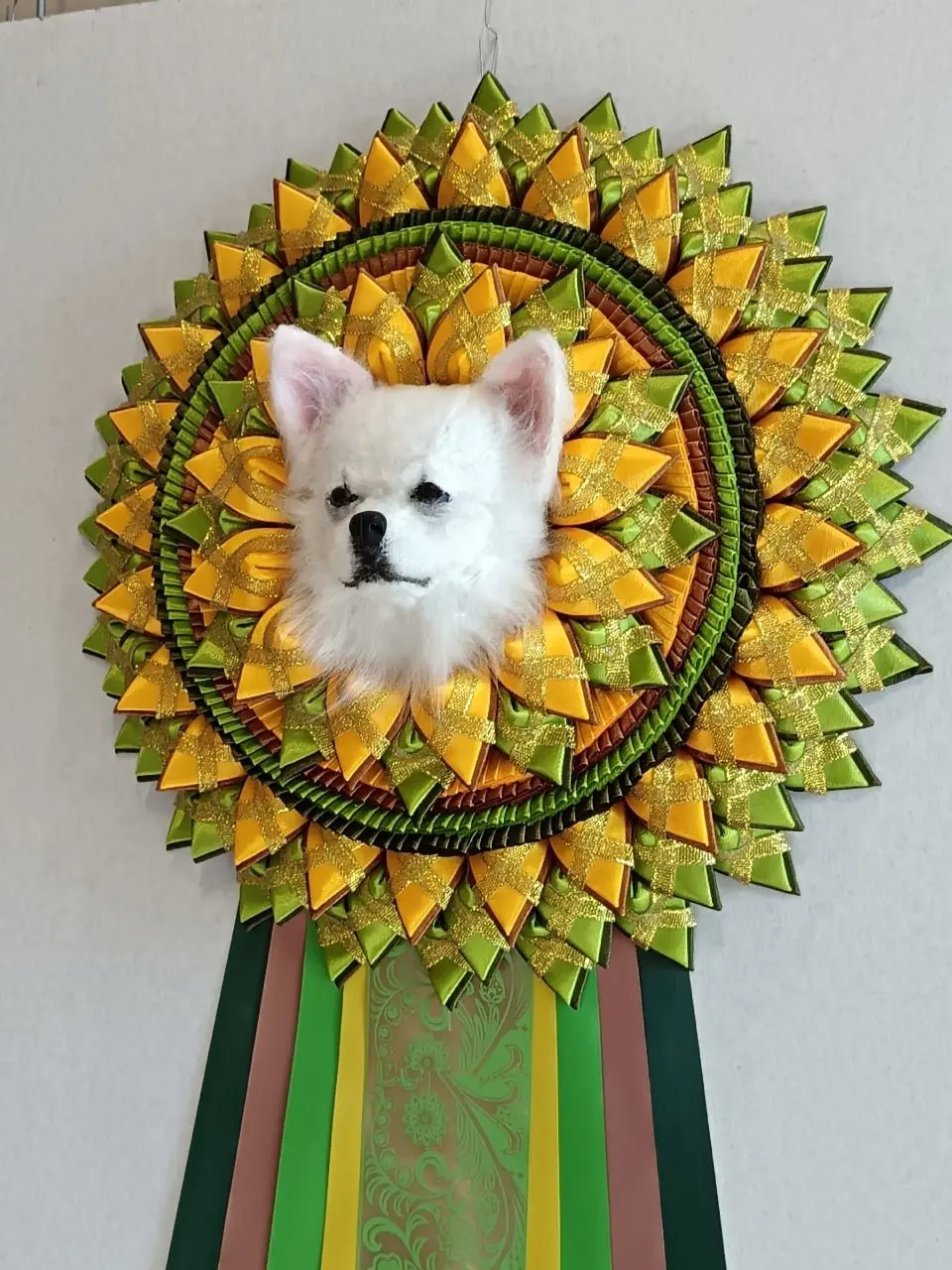 Монопородная выставка (чихуахуа) с двумя рейтинговыми выставками ЧЕМПИОН РКФ