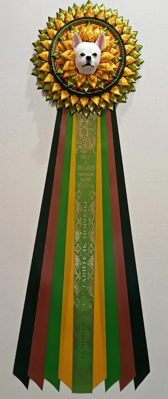 Монопородная выставка (чихуахуа) с двумя рейтинговыми выставками ЧЕМПИОН РКФ