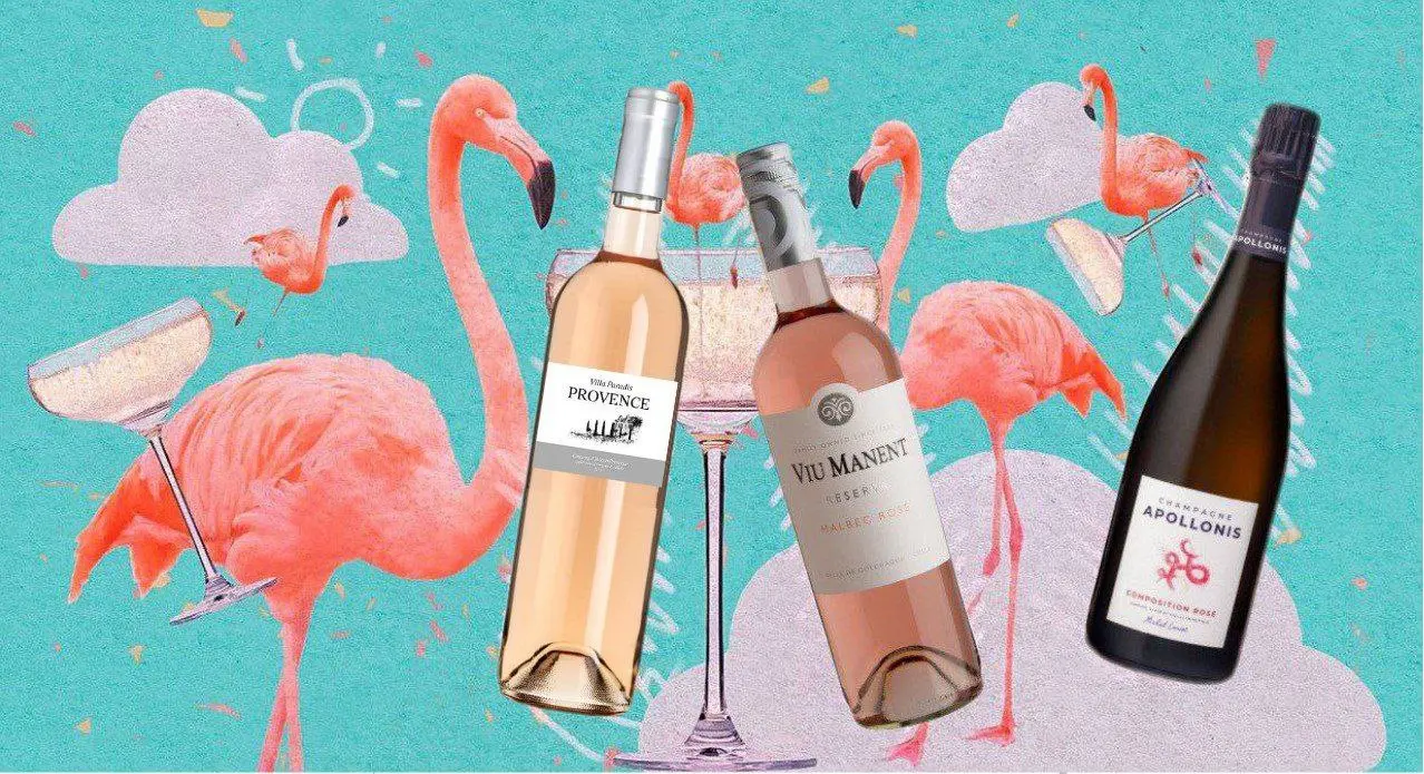 Дегустация «Мир Rose» в Санкт-Петербурге от FortWine