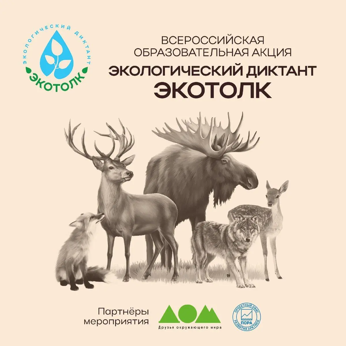 Кировчане напишут экологический диктант