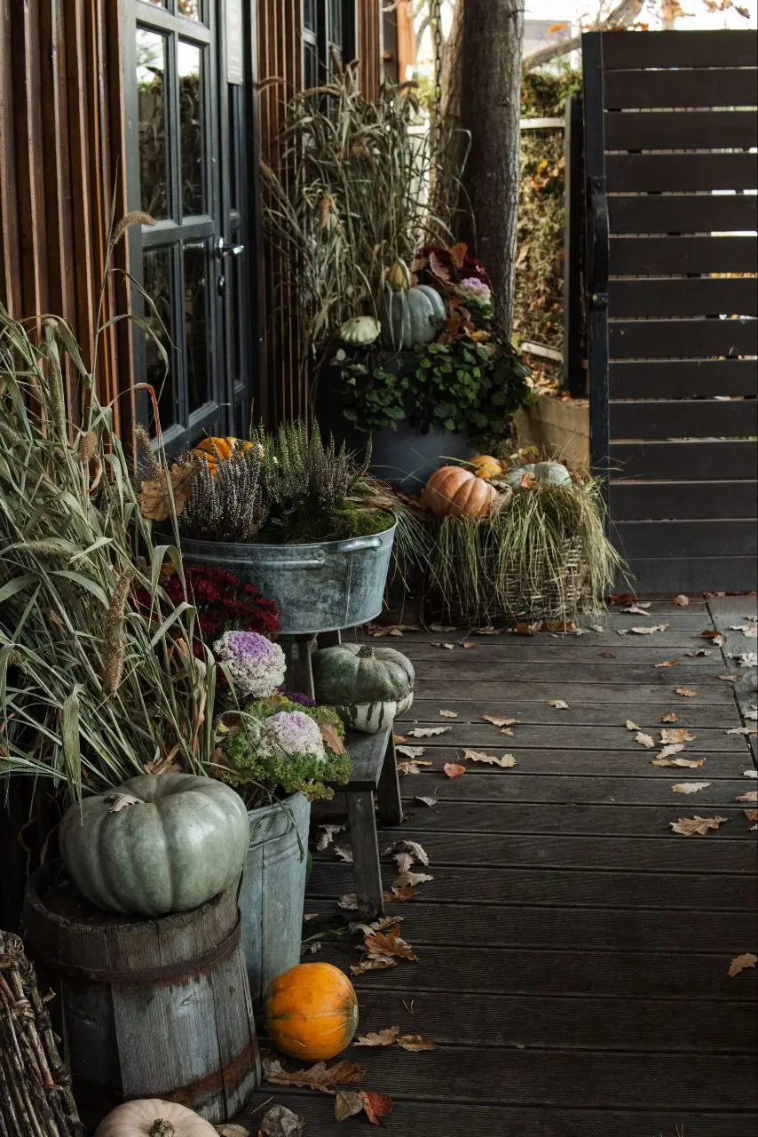 Осенний вечер поэзии, винила и тишины