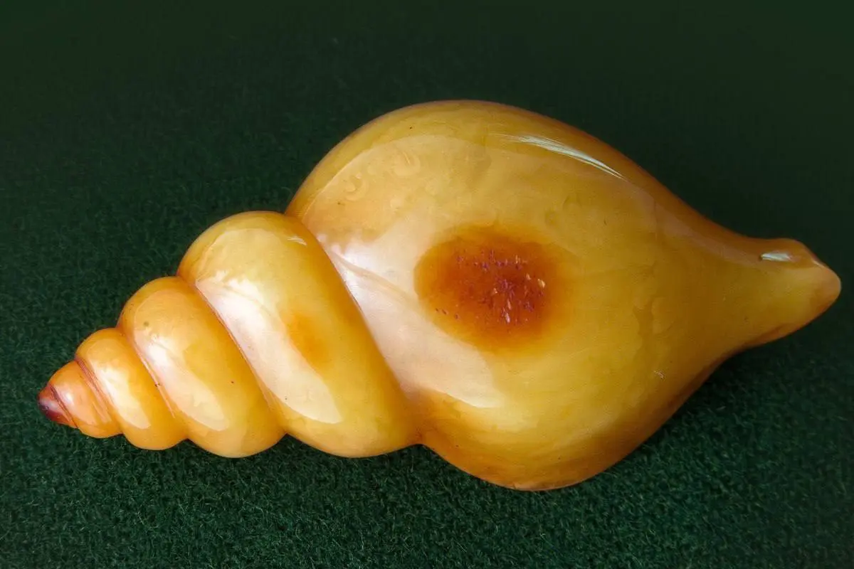 Янтарные сны: искусство в природе