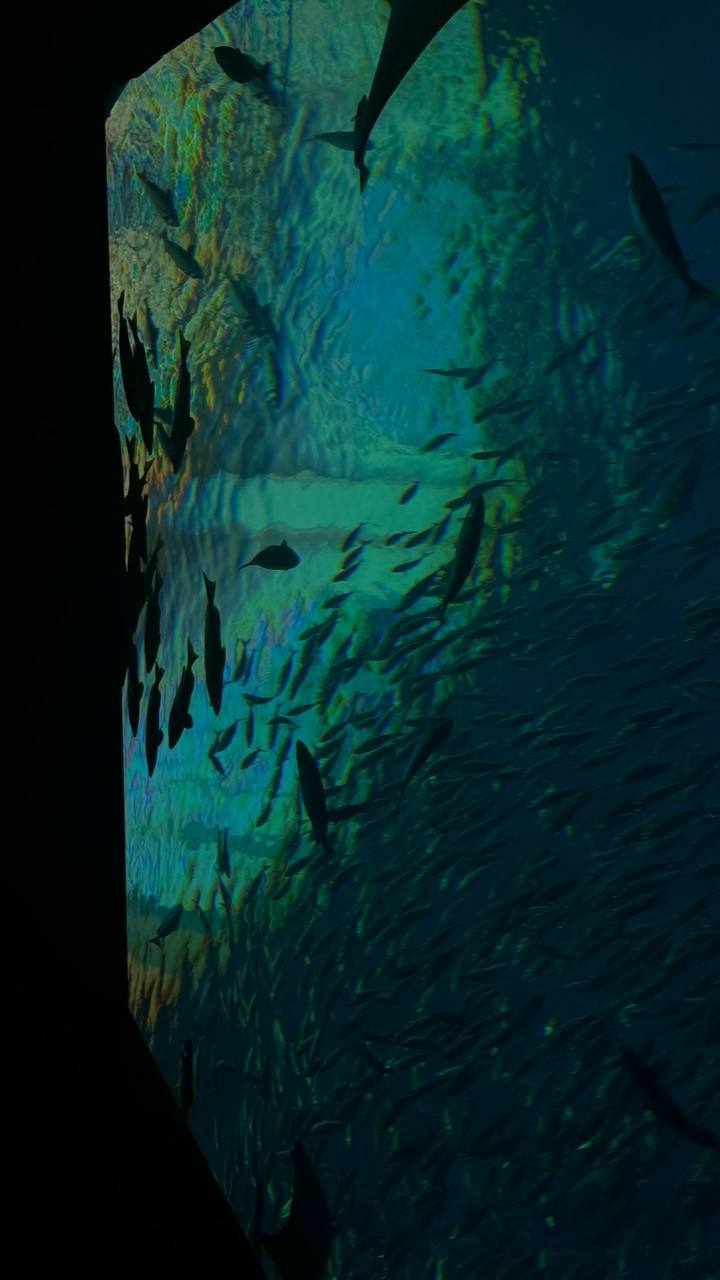 Какое-то невероятное утро на йоге