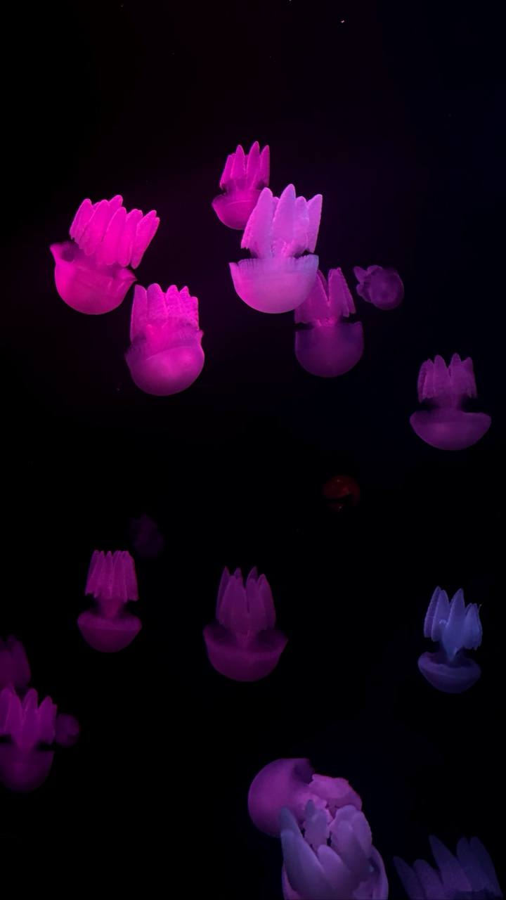 Какое-то невероятное утро на йоге