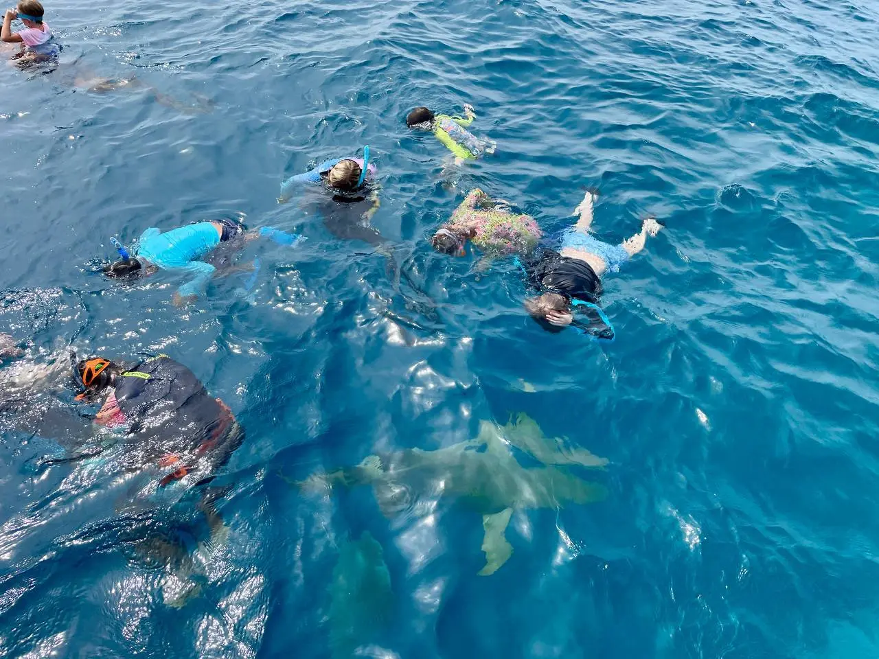 Семейный лагерь на Мальдивах «Моана и приключения на коралловом рифе»