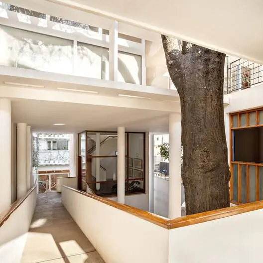 "Ле Корбюзье: План Буэнос-Айрес" — кинозал МАММ