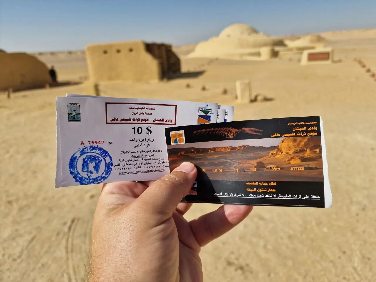 Вади Эль Хитан (Долина китов) и Вади Эль Раян (водопады) — две удивительные природные локации