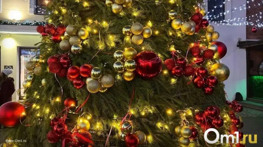 Открытие главной городской ёлки в Омске