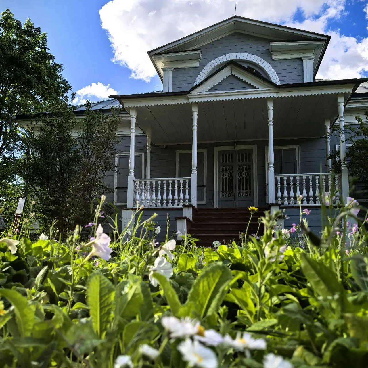 Путешествуй с Друзьями!