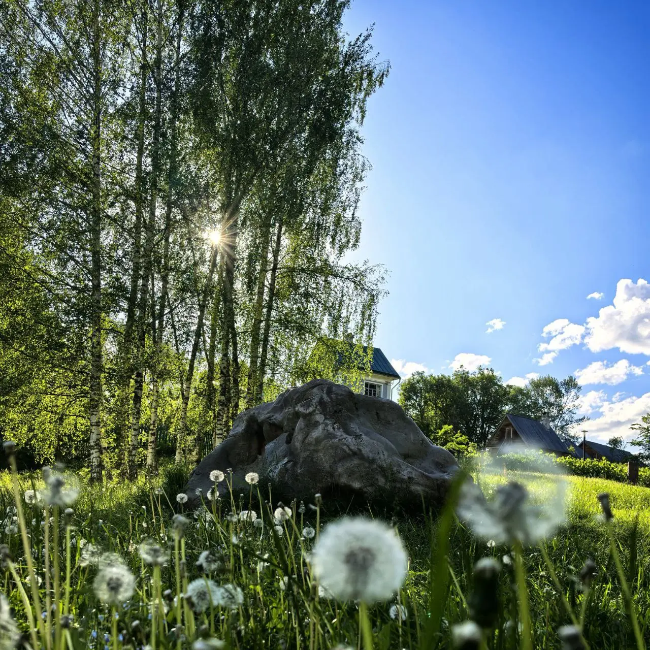 Путешествуй с Друзьями!