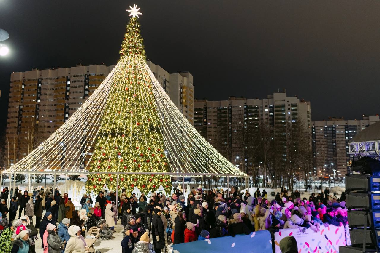 Новогодние открытия