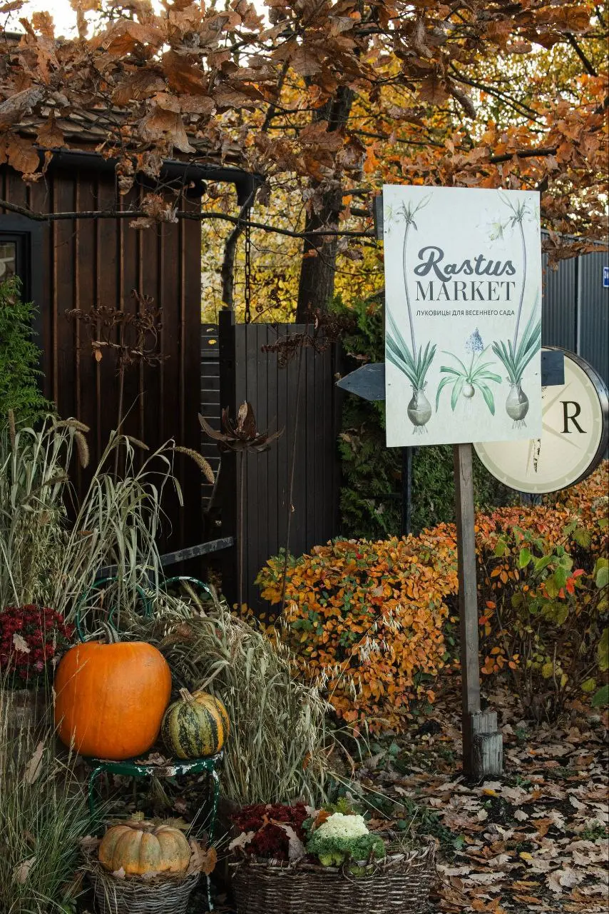 Посадка луковичных в саду Растуса