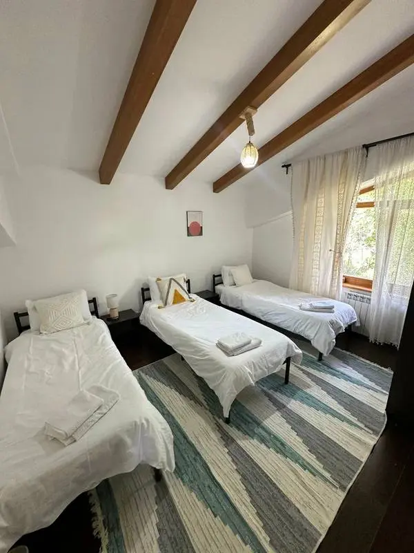 ОБУЧЕНИЕ ПРОВОДНИКОВ ECSTATIC DANCE в Красной Поляне: проживание