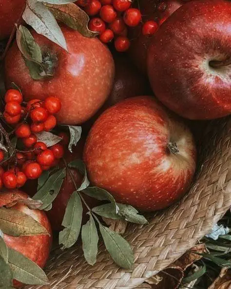 Осень в гастроквартале