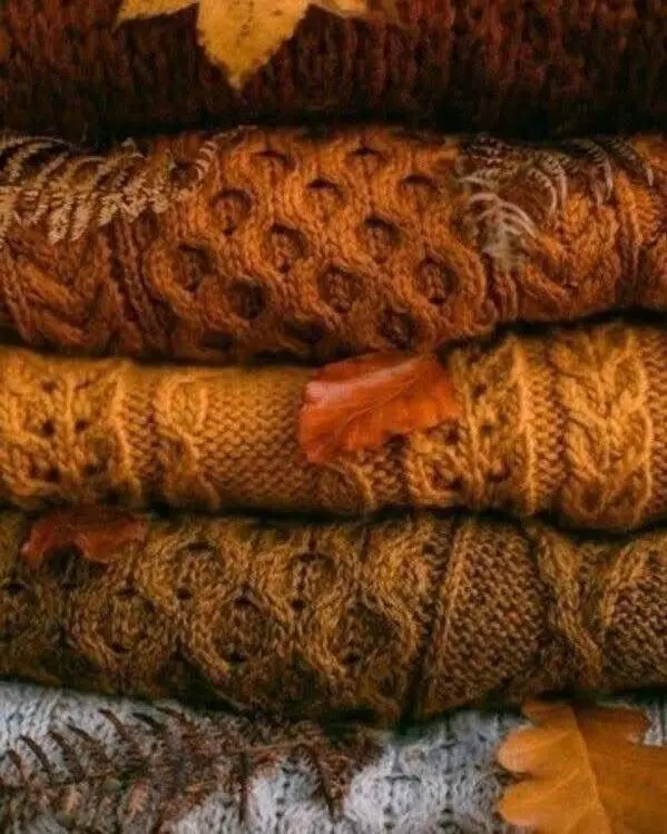 Осень в гастроквартале