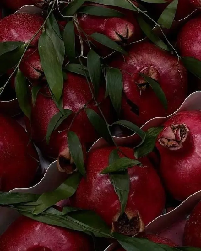 Осень в гастроквартале