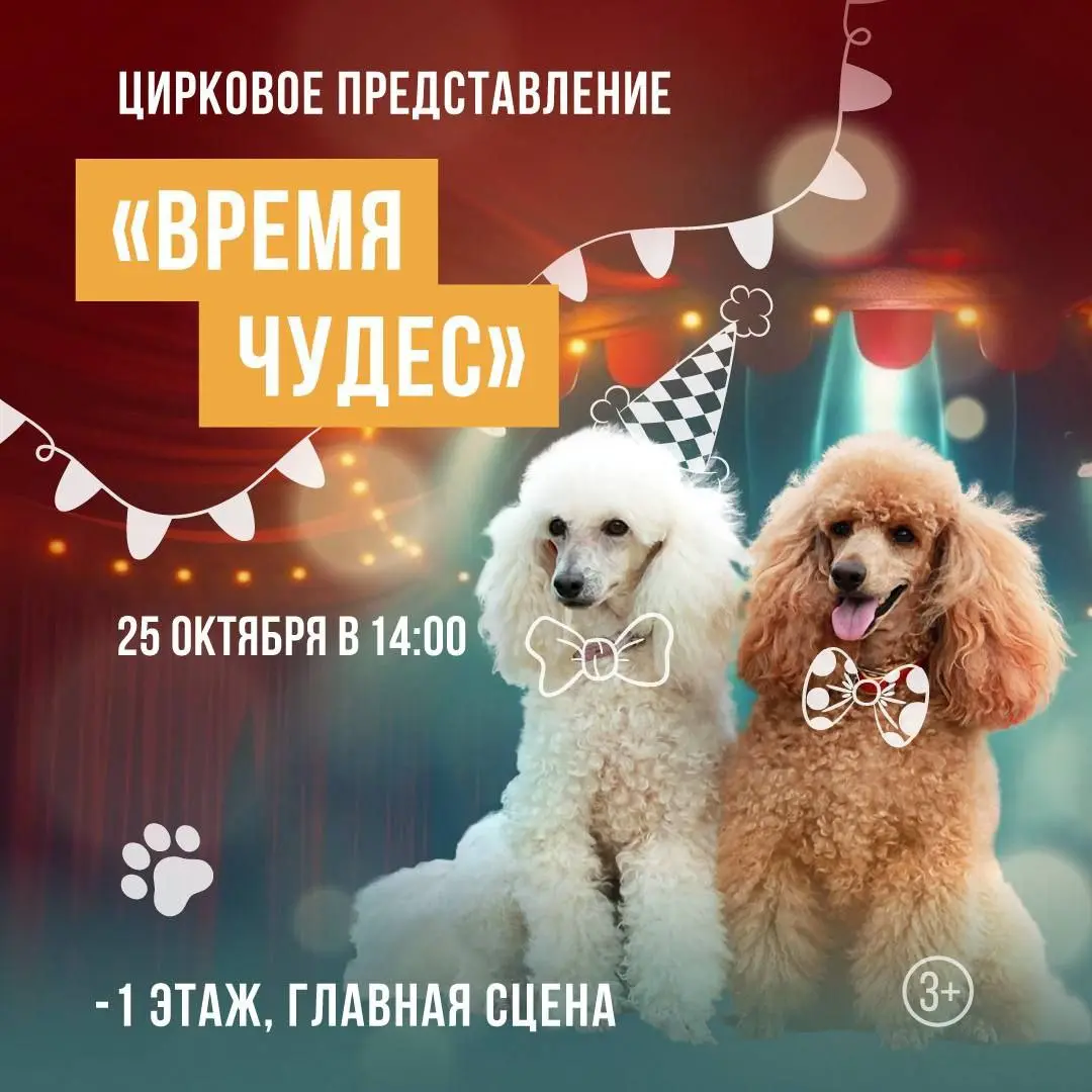 Детское и семейное мероприятие с выставками, мастер-классами, концертами и ярмарками (26 октября)