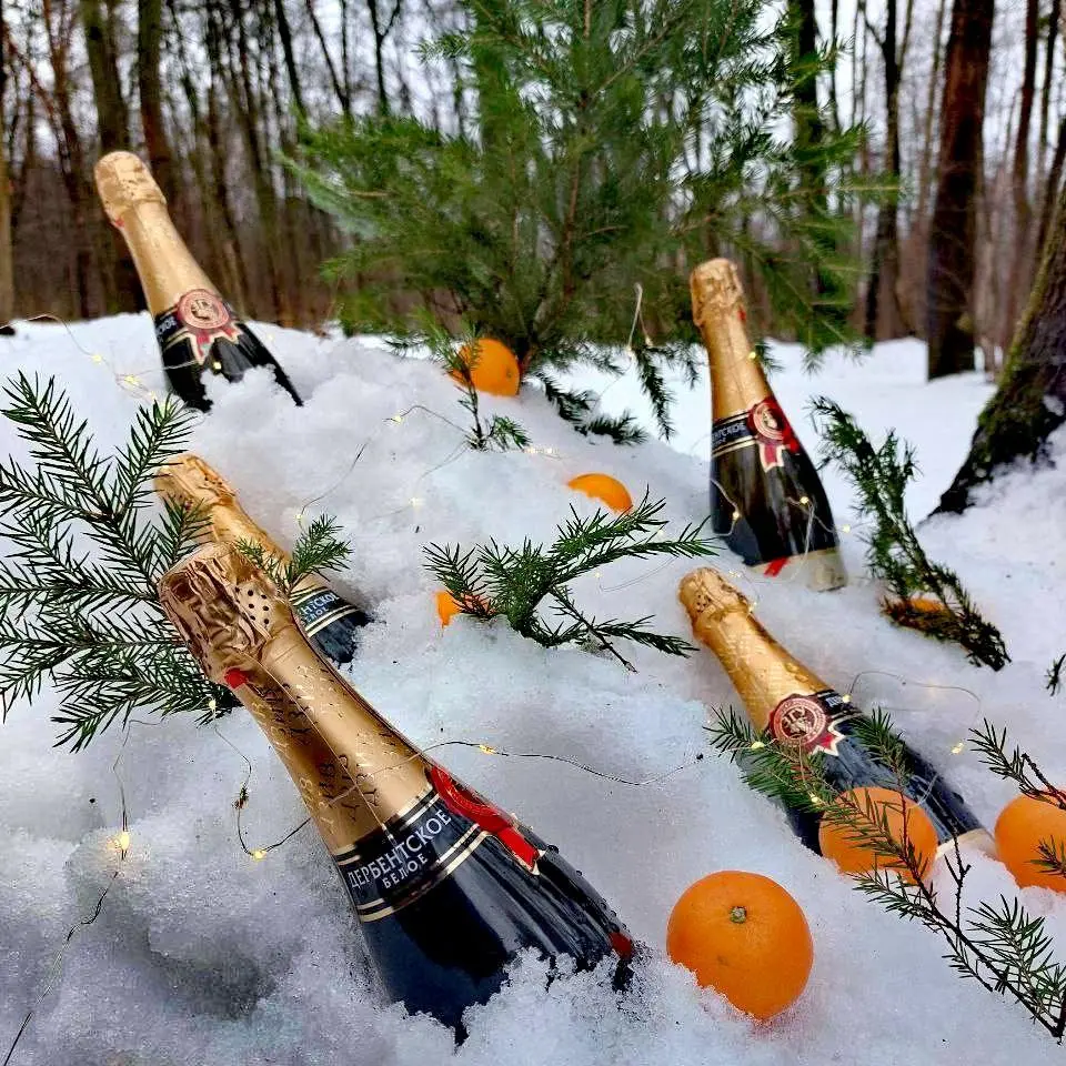 НОВОГОДНИЙ ПОХОД В РОМАШКОВО