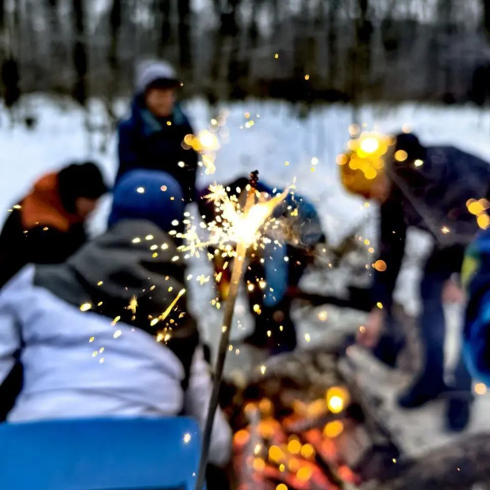 НОВОГОДНИЙ ПОХОД В РОМАШКОВО
