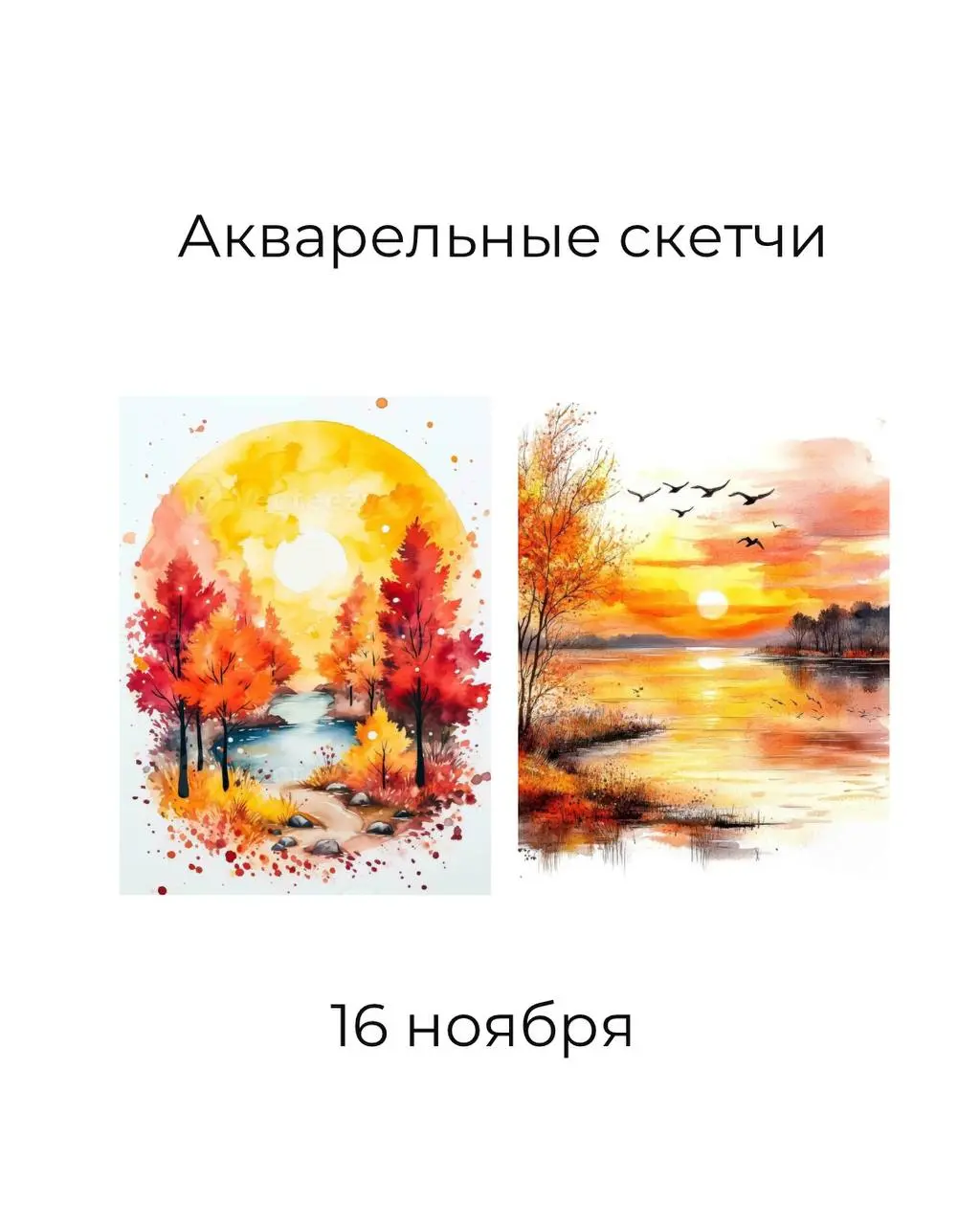 Афиша ноябрь