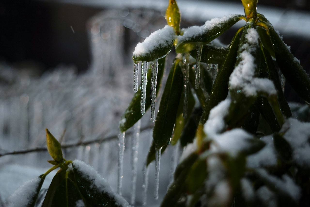 Показ байопика "Мария" про оперную певицу Марию Каллас
