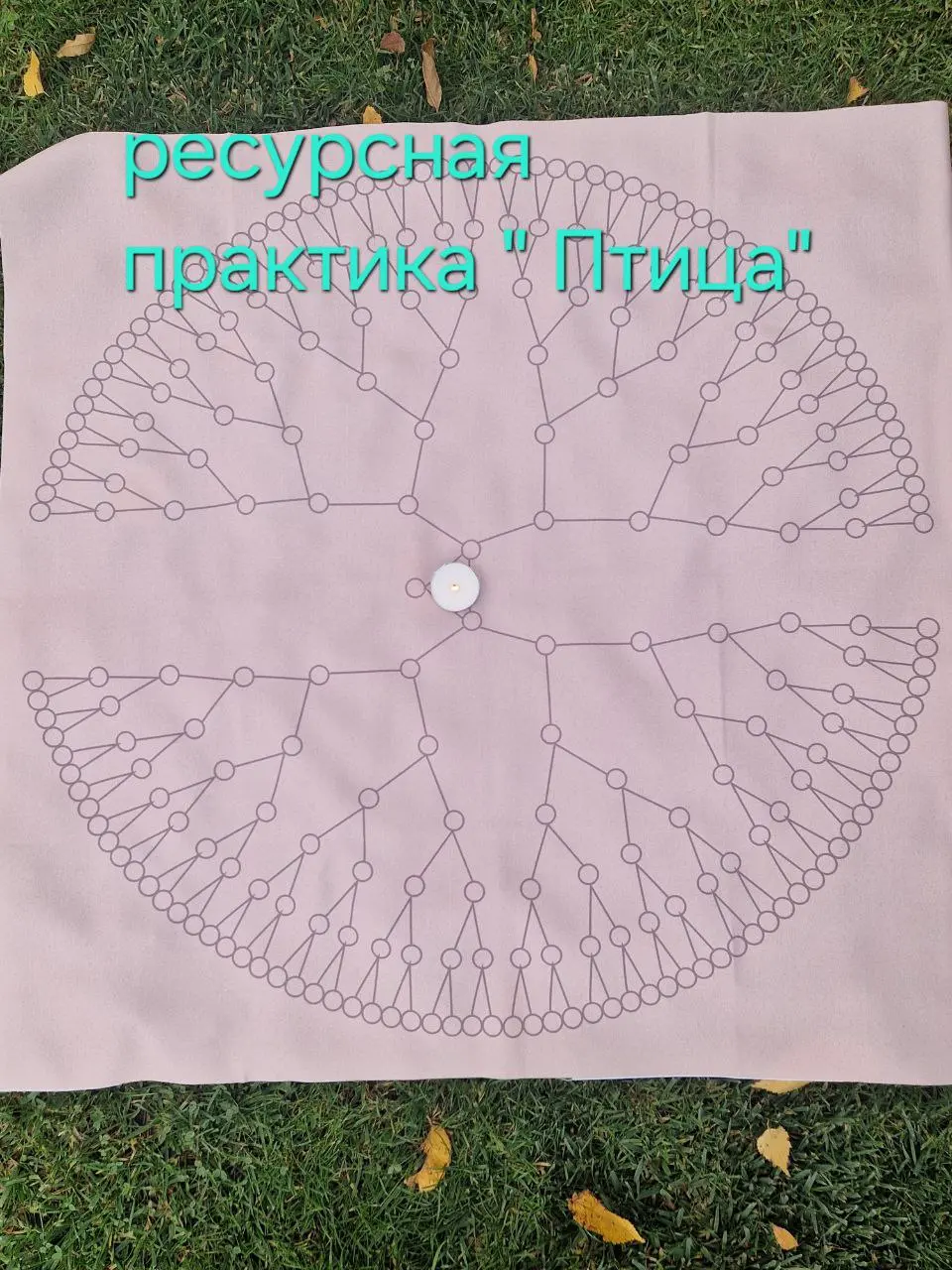 Расстановочные встречи и практика рода в родовой усадьбе