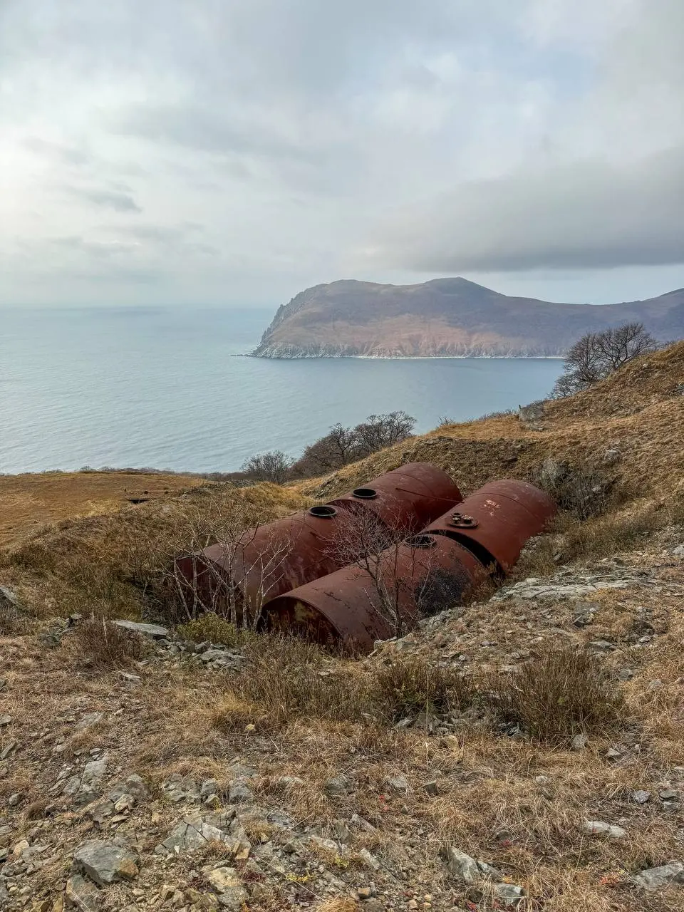 Катерный тур на остров Аскольд с морскими котиками и старинными маяками
