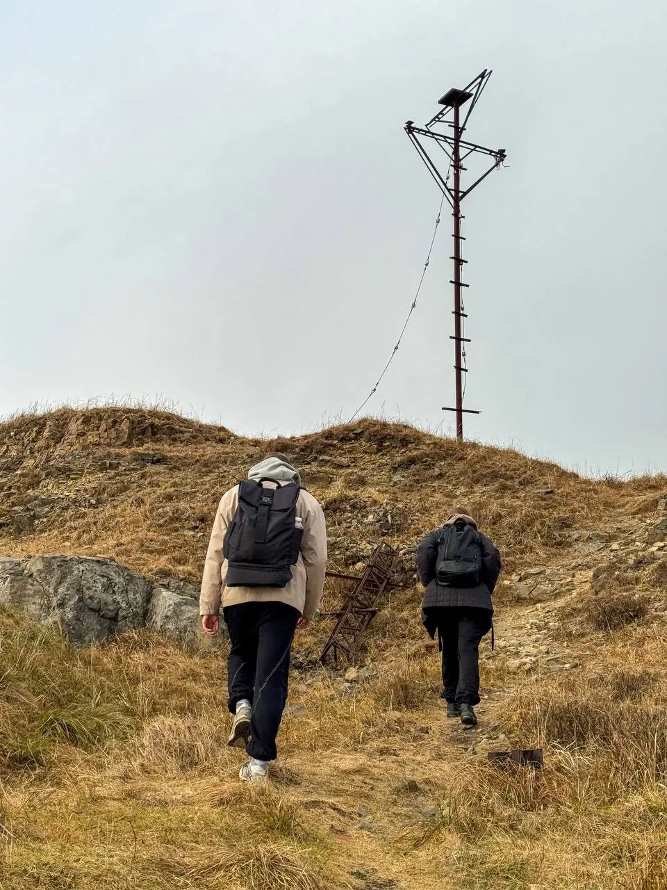 Катерный тур на остров Аскольд с морскими котиками и старинными маяками
