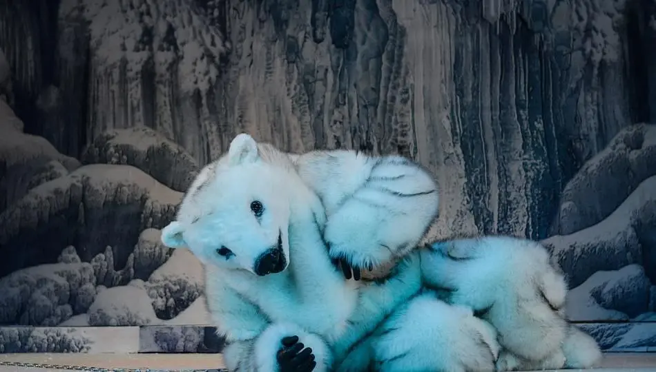 Царь Холод, или Волшебный гребень