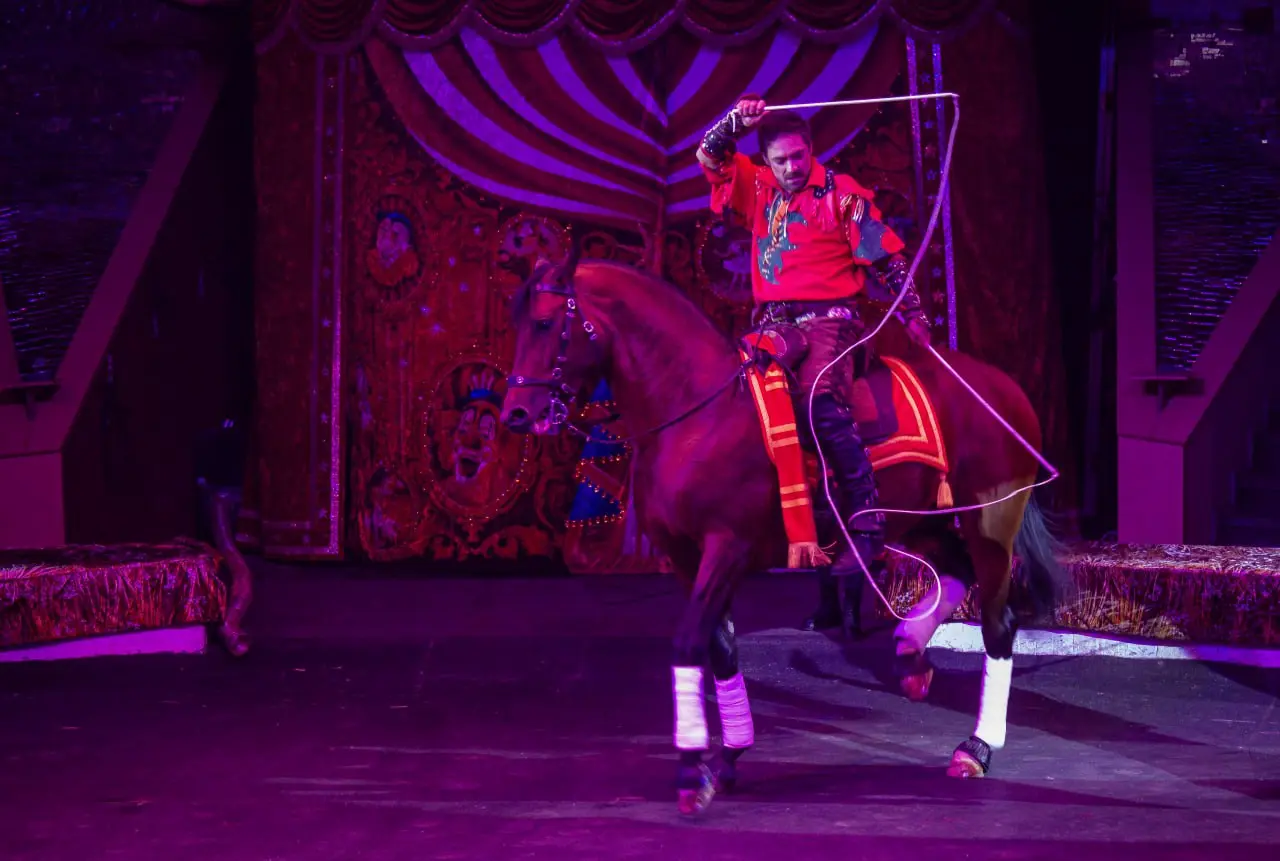 Осенние гастроли Росгосцирка в ЛНР и ДНР