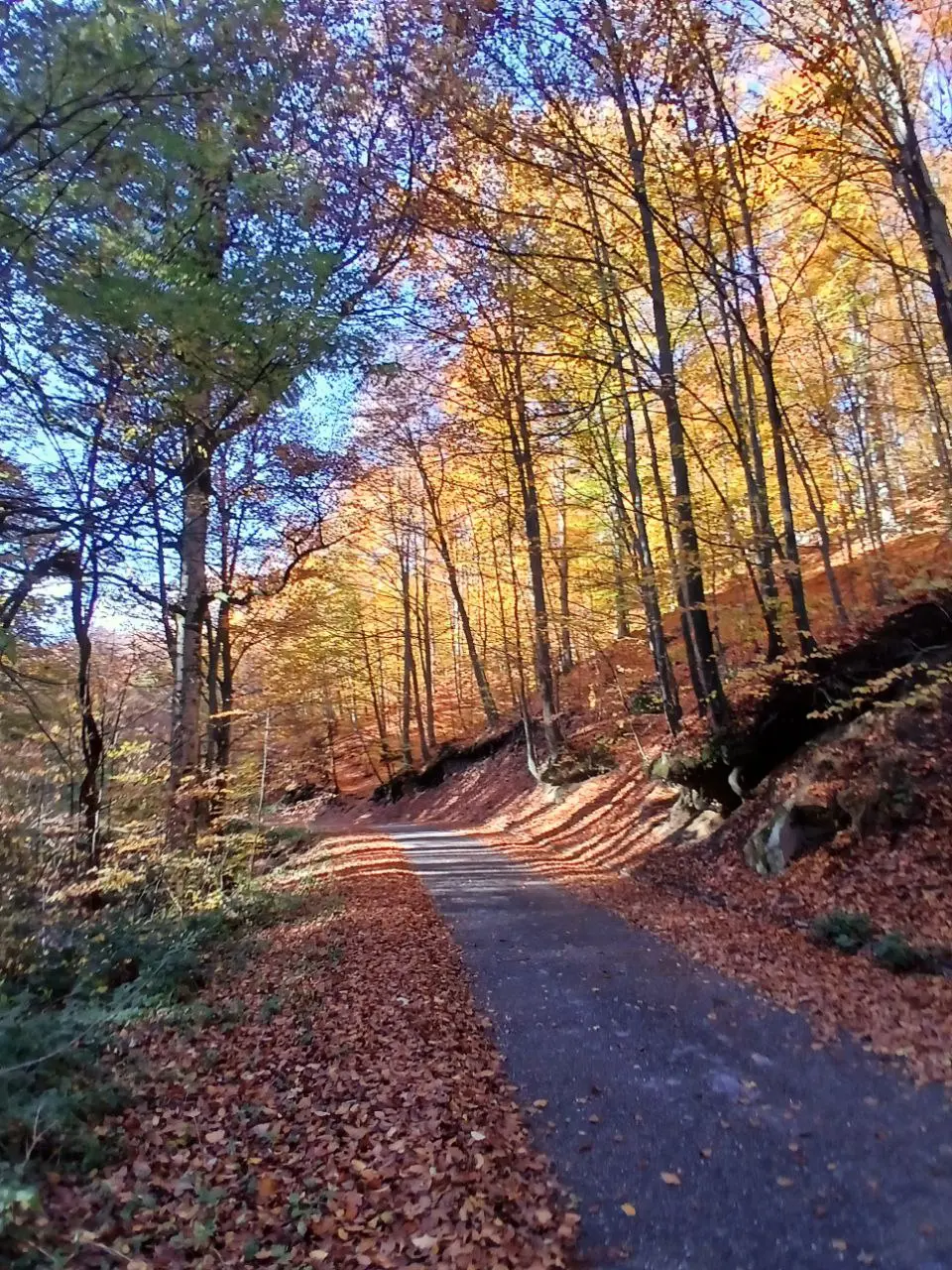 Новинка 9.11! Осень в окрестностях Лозницы (река Дрина, озера, горы, подземный город, этно-село)