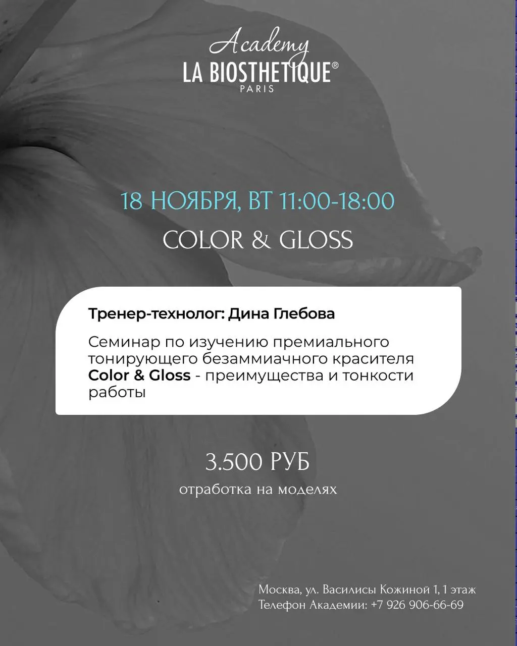 Семинары по укладкам и окрашиванию волос La Biosthétique (ноябрь 2025)