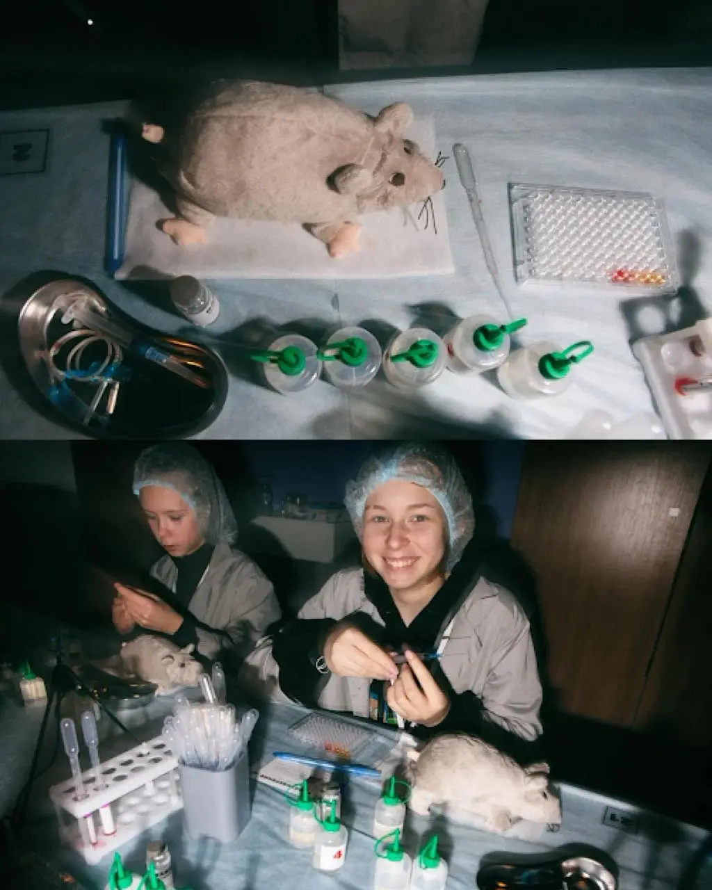 Научный Новый год: Открытие новых тайн