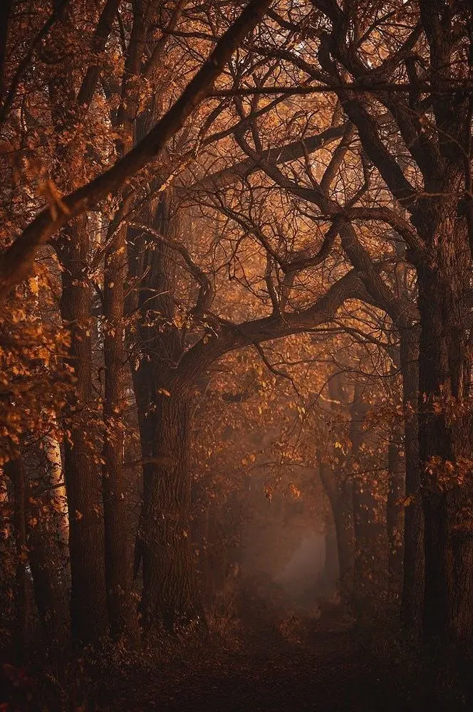 МОРРИГАН И САМАЙН