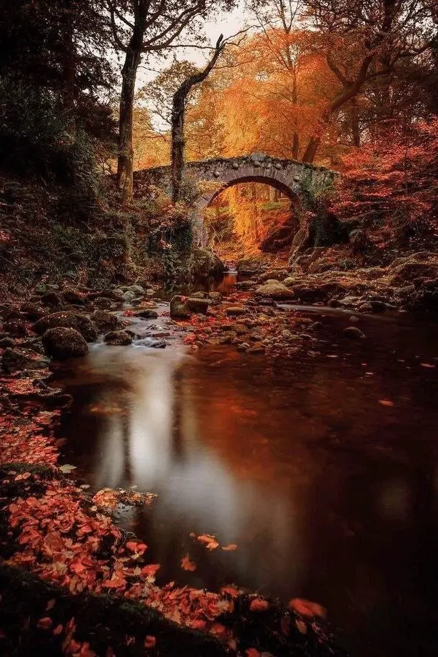 МОРРИГАН И САМАЙН