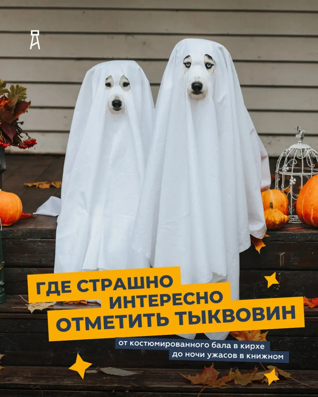 ГДЕ СТРАШНО ИНТЕРЕСНО ОТМЕТИТЬ ТЫКВОВИН