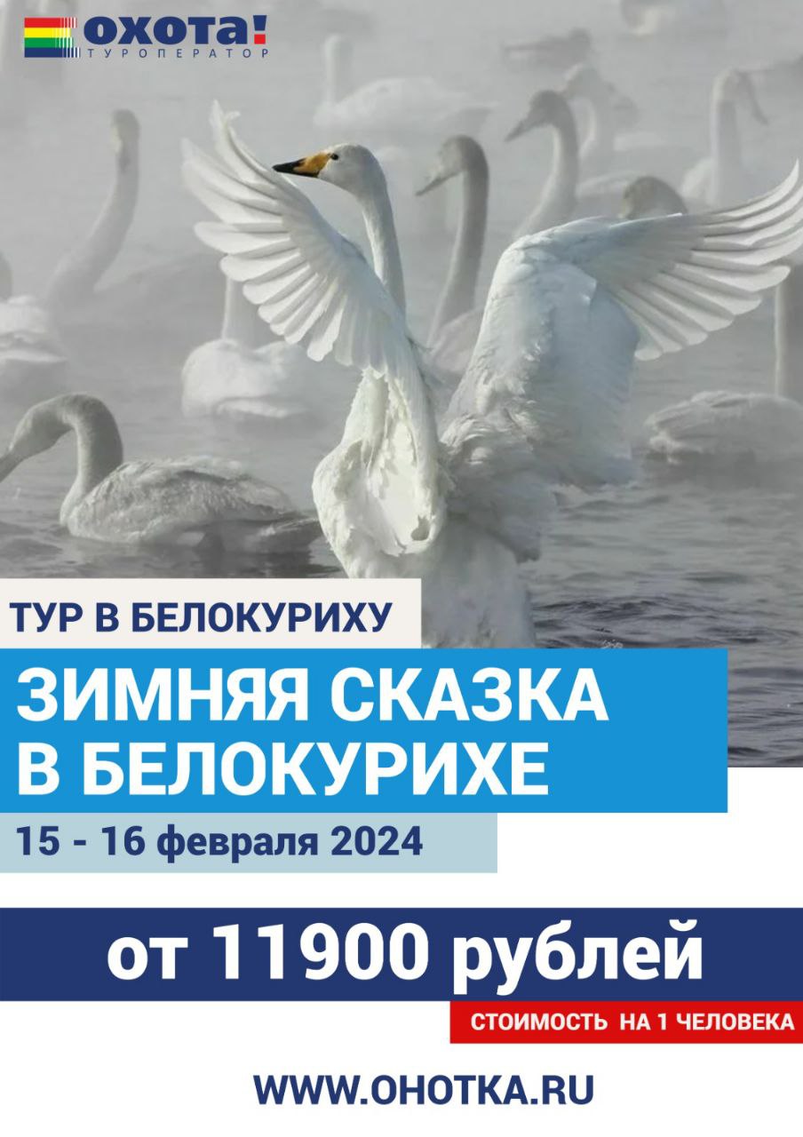 Зимняя сказка в Белокурихе