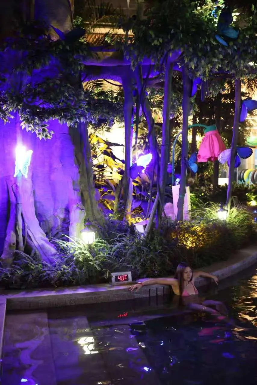 Новый год 2026 в Чанчуне (праздник в Госинь Наньшань 5*)