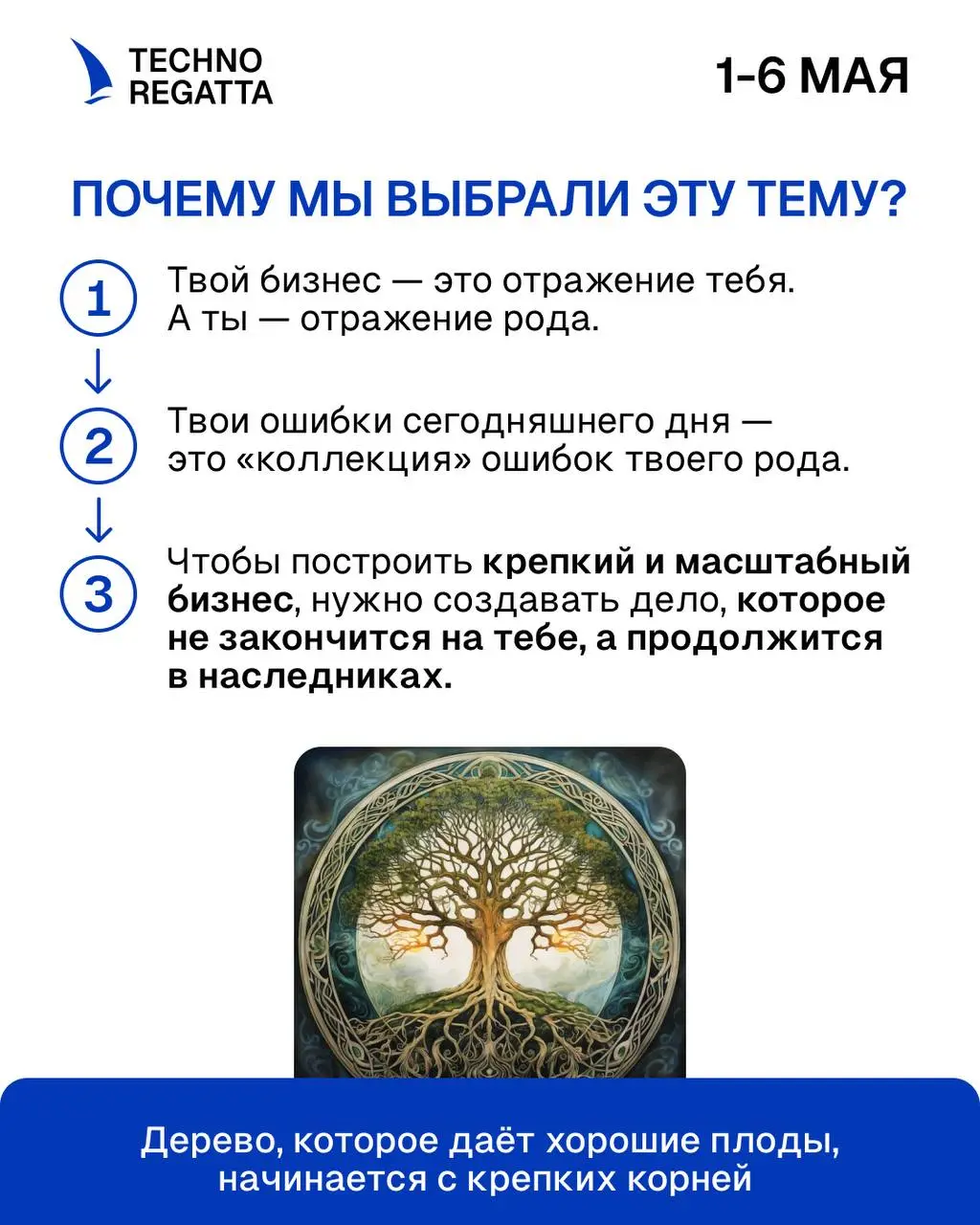 TECHNOREGATTA в ГРУЗИИ 2026