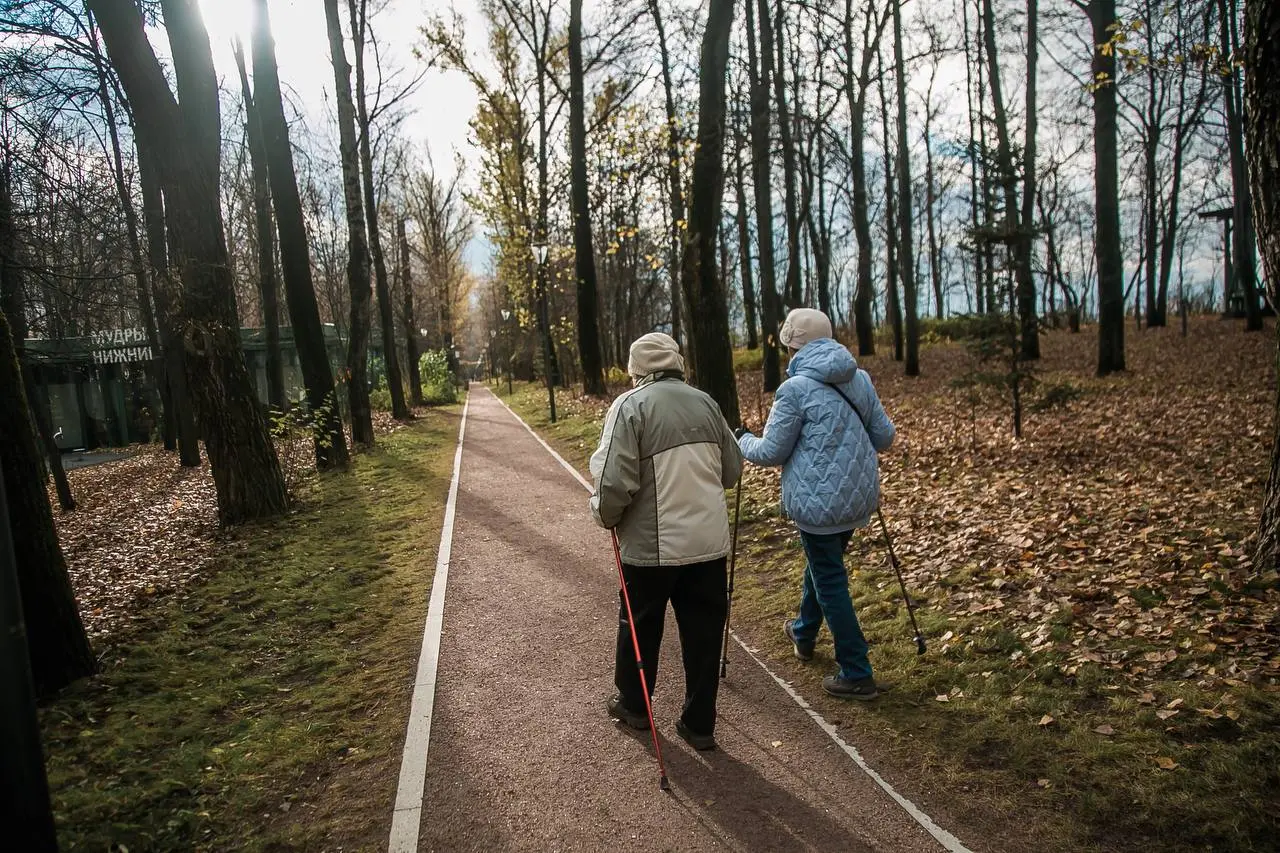 Мероприятие в парке: занятия на выходных